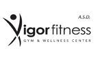 Software Palestre: Vigor Fitness